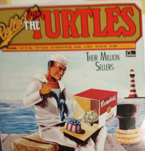 The turtles refection - -,