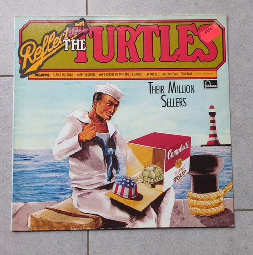 The turtles reflection - turtles,